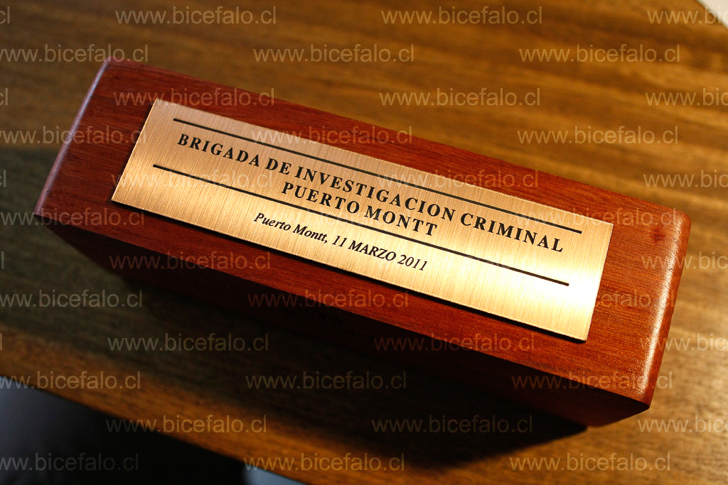 grabado metallex